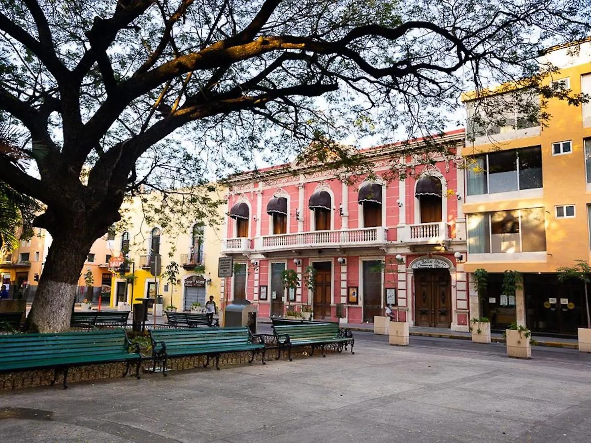Super Cheap Loft Style Apartment In Merida Wifi Smartv 0*,